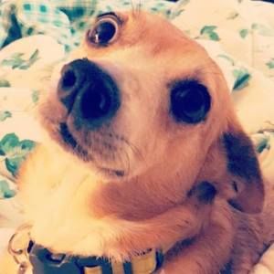 Meet your Posher, Stacy